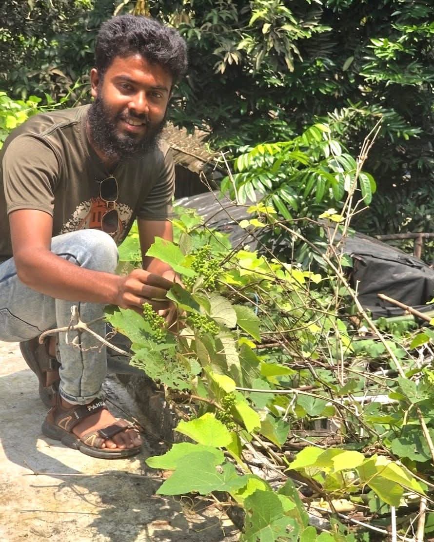 ছাদবাগানে আঙ্গুর চাষে সফল সাংবাদিক আলামিন