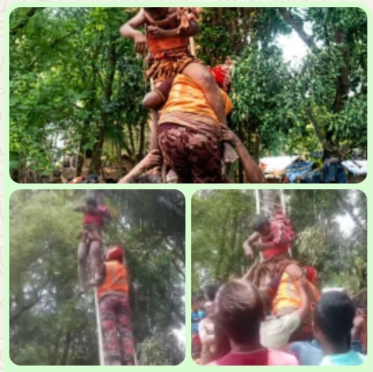 যশোরের মণিরামপুরে আম পাড়তে গিয়ে বিদ্যুৎস্পর্শে যুবকের মৃত্যু