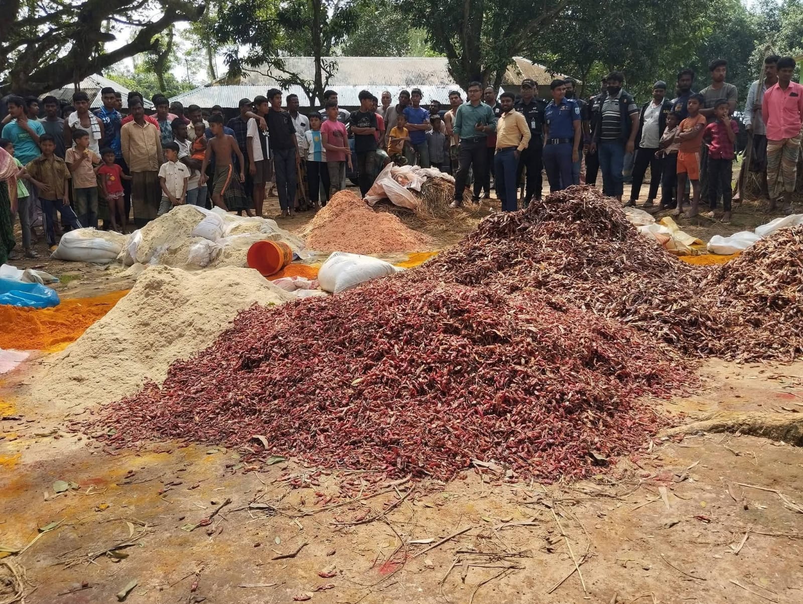 সাদুল্লাপুর উপজেলায় ধাপেরহাটে ভেজাল হলুদ কারখানায় ভোক্তা অধিকার র‍্যাব-১৩ ও জেলা পুলিশের দেড় লাখ টাকা জরিমানা