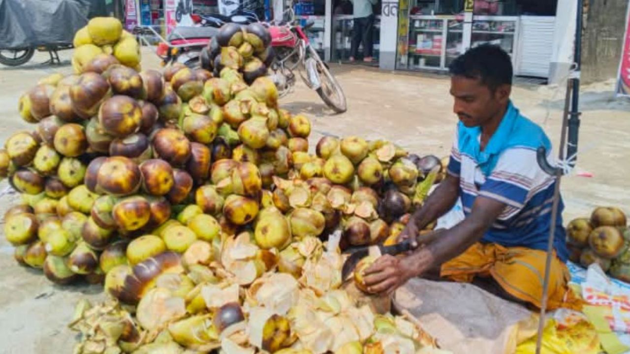 রাজশাহীতে চাহিদা বাড়ছে তালশাঁসের