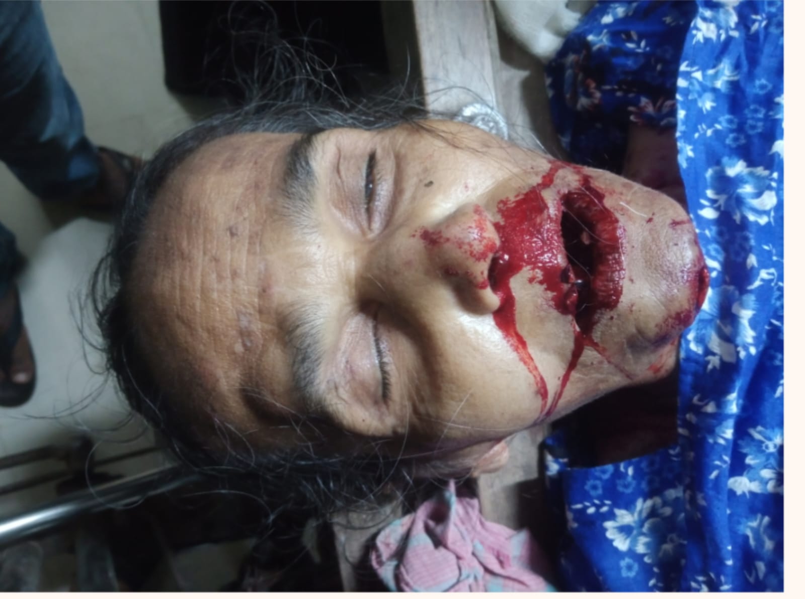 মোল্লাহাটে ধলেশ্বর পরিবহনের চাপায় নারী নিহত