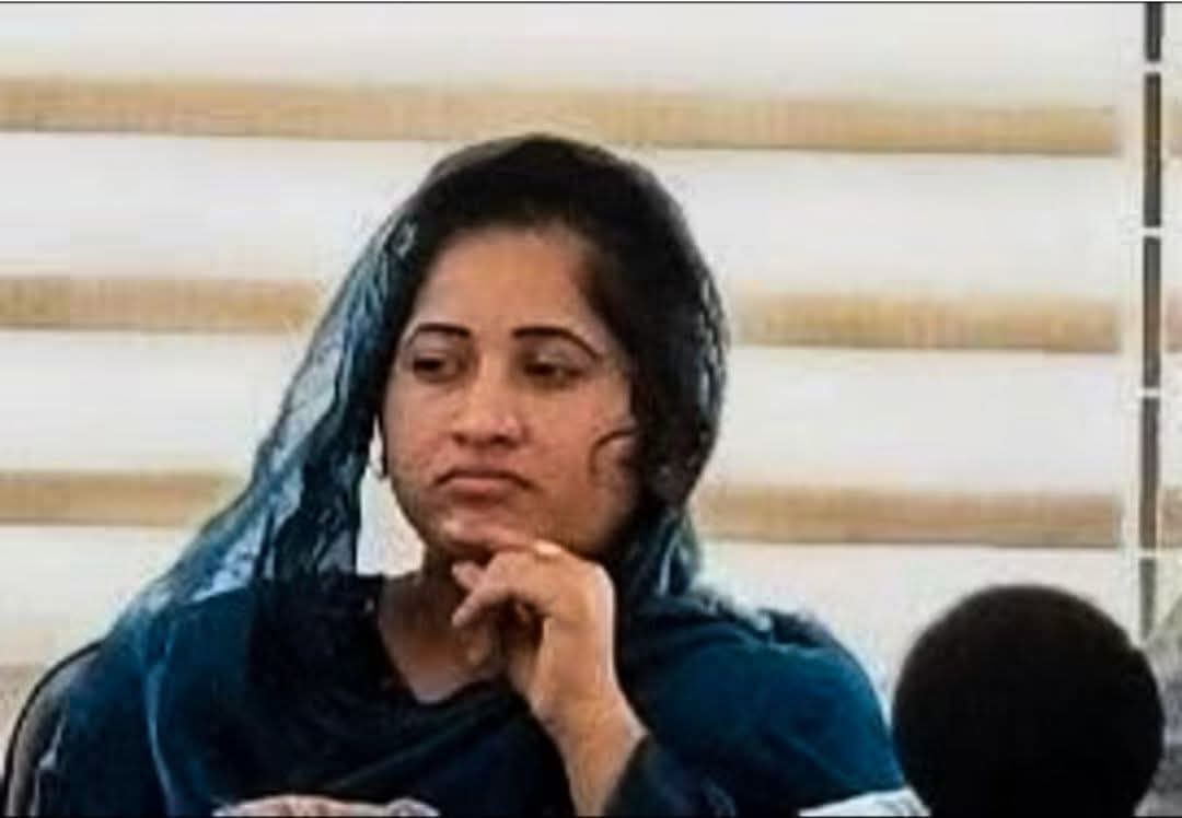 আপত্তিকর ভিডিও ভাইরাল ও একাধিক অভিযোগে অবশেষে দায়িত্ব হারালেন সন্তোষপুর ইউপির প্যানেল চেয়ারম্যান খাদিজা বেগম