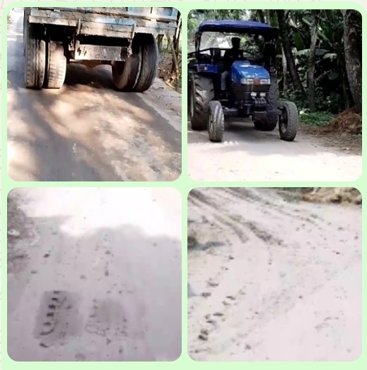 মনিরামপুরে নিউজ প্রকাশের পরও থামেনি ফসলি জমি ধংসের উৎসব