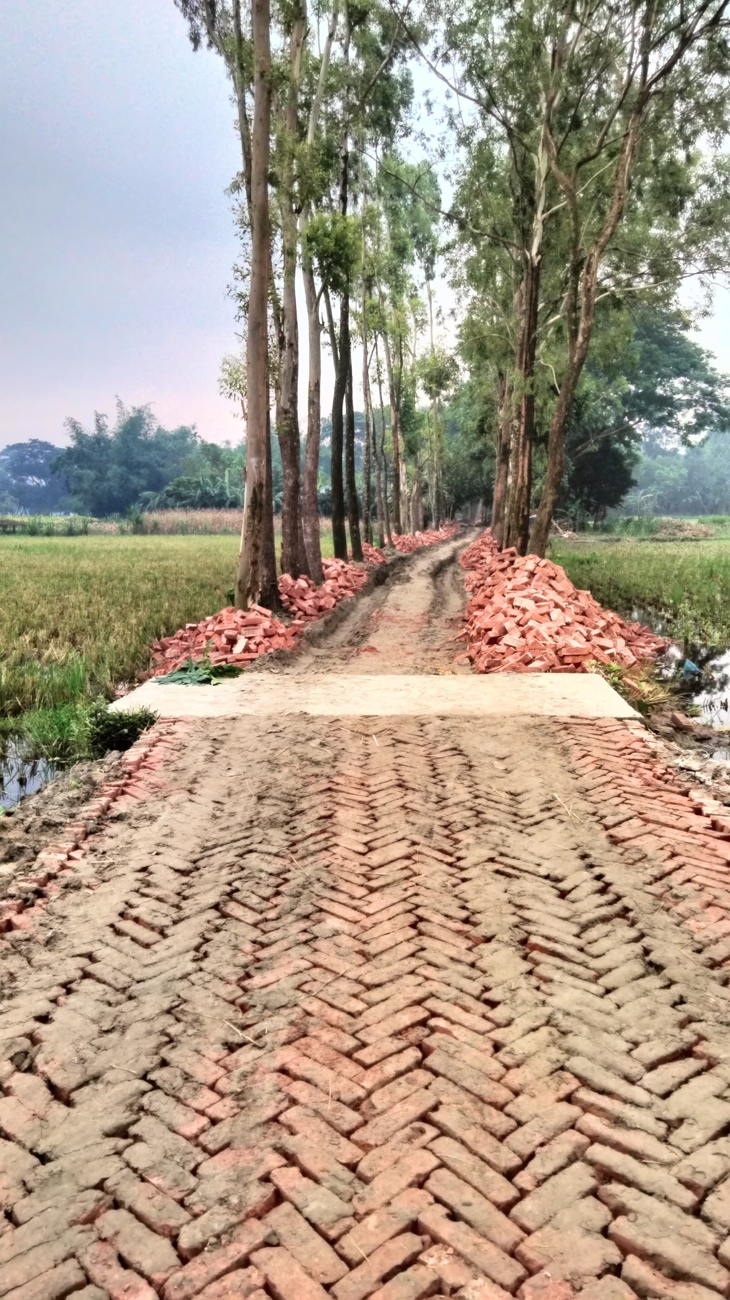 কিশোরগঞ্জের পাকুন্দিয়ায় একটি সরকারি সড়কের পুরোনো ইট আত্মসাতের অভিযোগ উঠেছে ইউনিয়ন পরিষদের (ইউপি) সদস্যের বিরুদ্ধে।