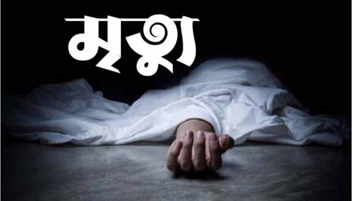 ঠাকুরগাঁওয়ে পৃথক দুই দুর্ঘটনায় প্রাণ গেল দুই নারীর