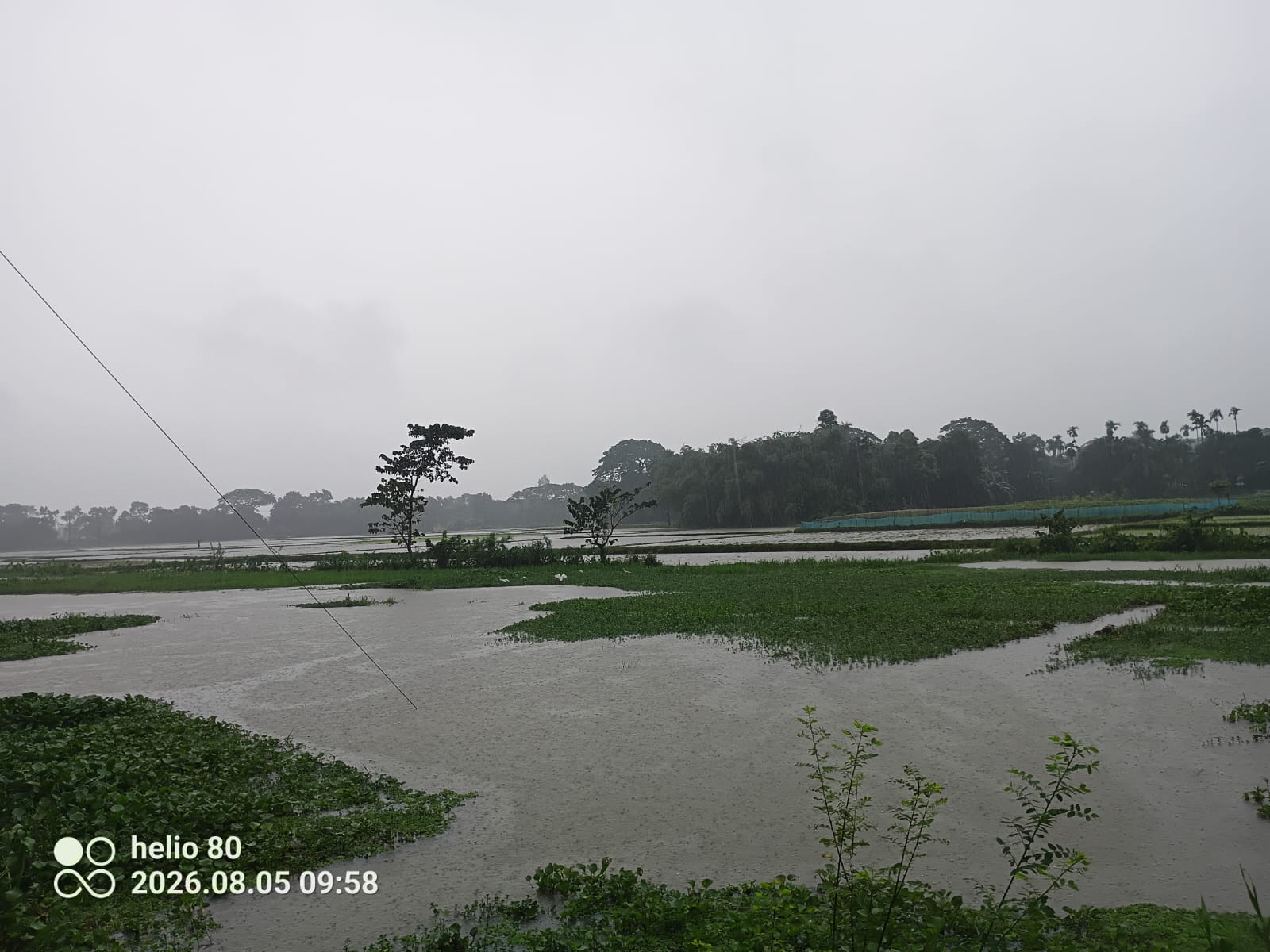 নেত্রকোনায় অতিবৃষ্টিতে স্থবির পূর্বধলার জনজীবন: চরম দুর্ভোগে শ্রমজীবী ও শিক্ষার্থীরা