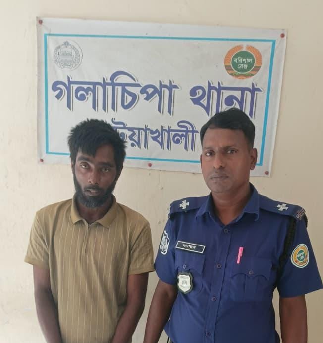 গলাচিপা থানা পুলিশ কর্তৃক গাঁজাসহ আসামী গ্রেফতার।