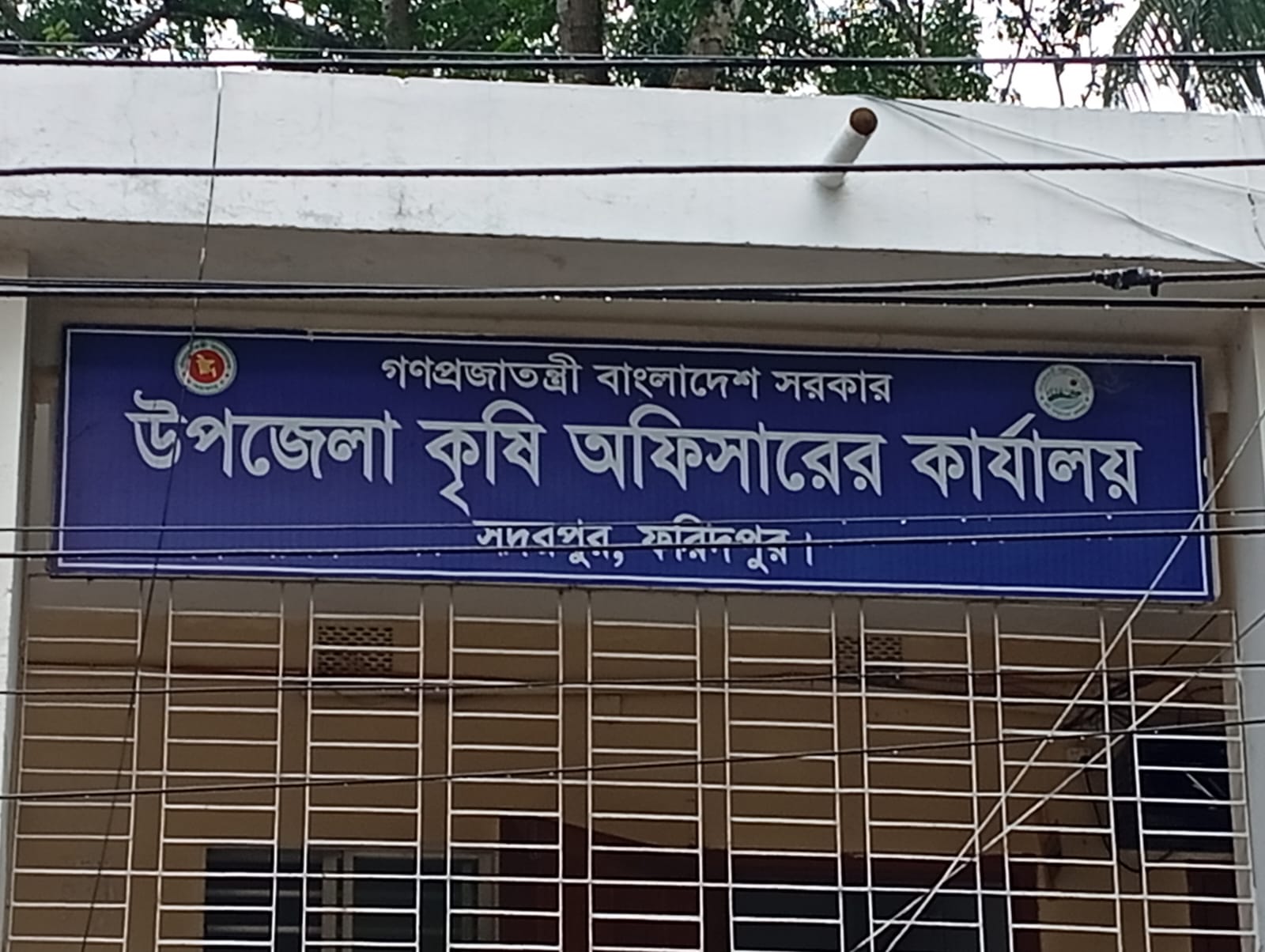 সদরপুর উপজেলা কৃষি অফিসে ৪১ পদের বিপরীতে কর্মরত ১৭ জন, জনবল সংকটে ব্যাহত কৃষি সম্প্রসারণ সেবা