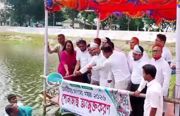 জাতীয় মৎস্য পক্ষে বীরগঞ্জে আনুষ্ঠানিক মাছের পোনা অবমুক্ত.