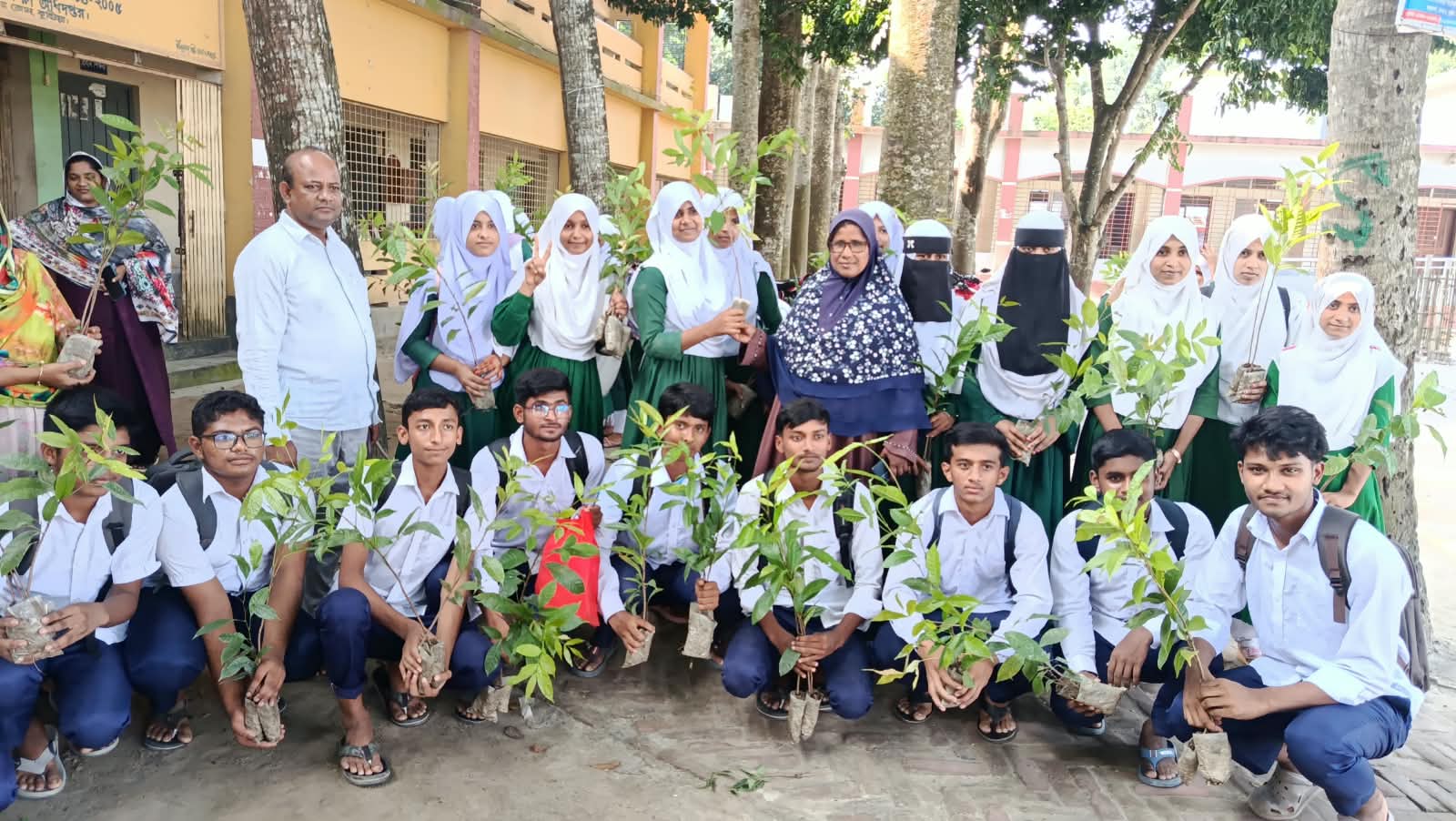 বৃক্ষরোপণ ও চারা বিতরণ কর্মসূচি