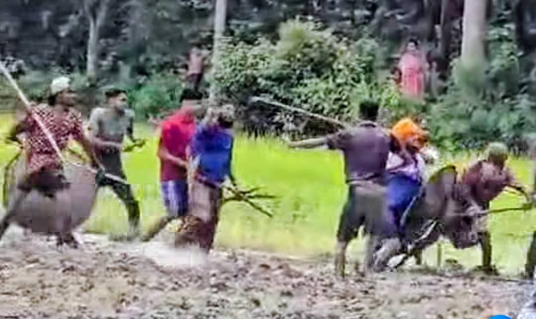 সালথায় আধিপত্য বিস্তার ও জমিজমা নিয়ে সংঘর্ষে আহত-১৫, বাড়িঘর ভাংচুর