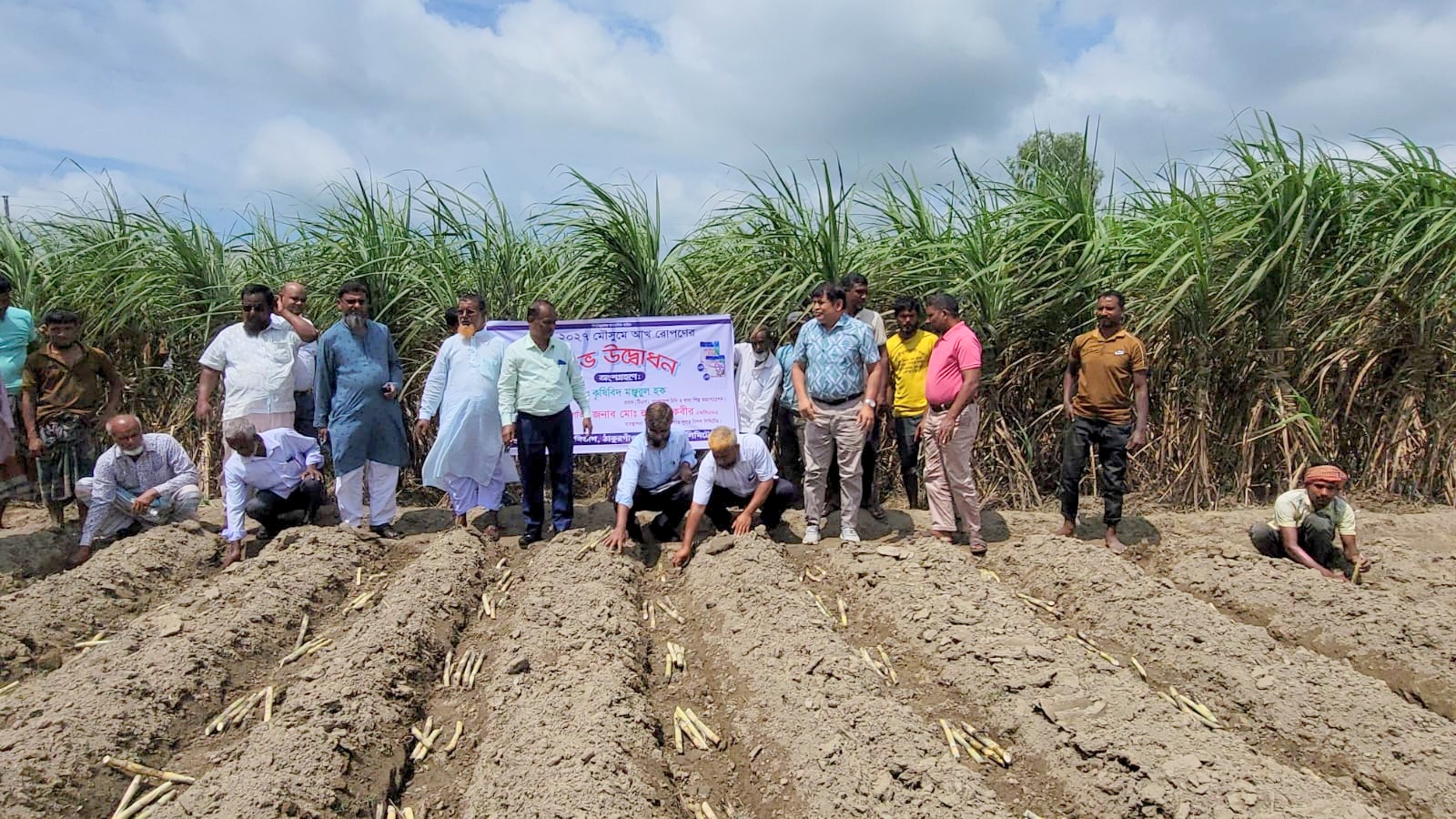 ঠাকুরগাঁওয়ে ২০২৬-২৭ মৌসুমের আখ রোপণ কার্যক্রম উদ্বোধন।
