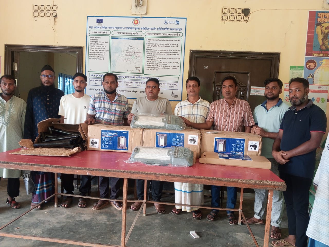 বড়লেখায় সোলার লাইটে আলোকিত হচ্ছে উত্তর পাটনার সড়ক।