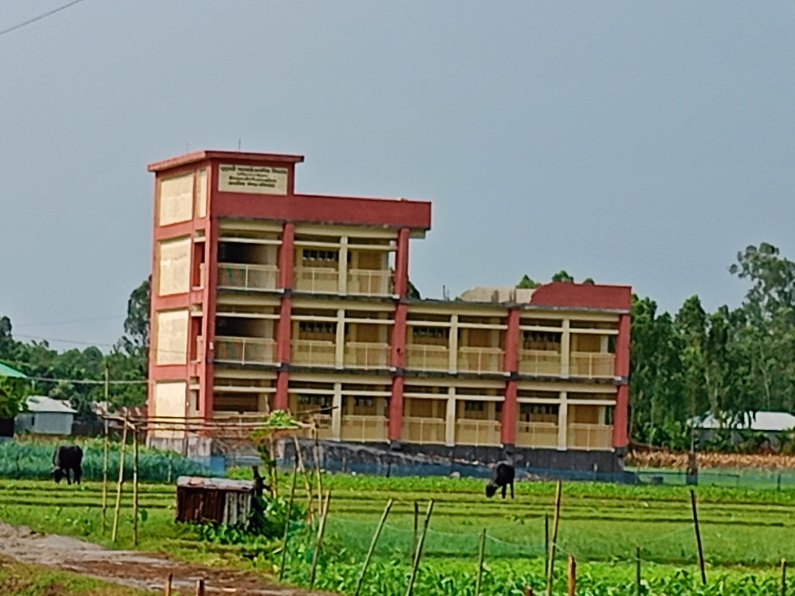৩৯৫ চরে মাধ্যমিক স্কুল নেই, প্রাথমিকেই থামছে শিক্ষার স্বপ্ন