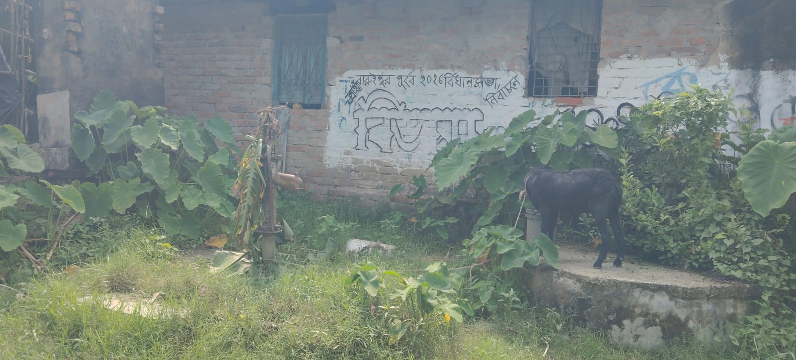 ভোট আসে,ভোট যায়—জলকষ্টের অবসান হয় না মানুষের জীবন বাঁচানোর টিউবওয়েল আজ ছাগলের খোঁটা! প্রশাসনের দৃষ্টি আকর্ষণ