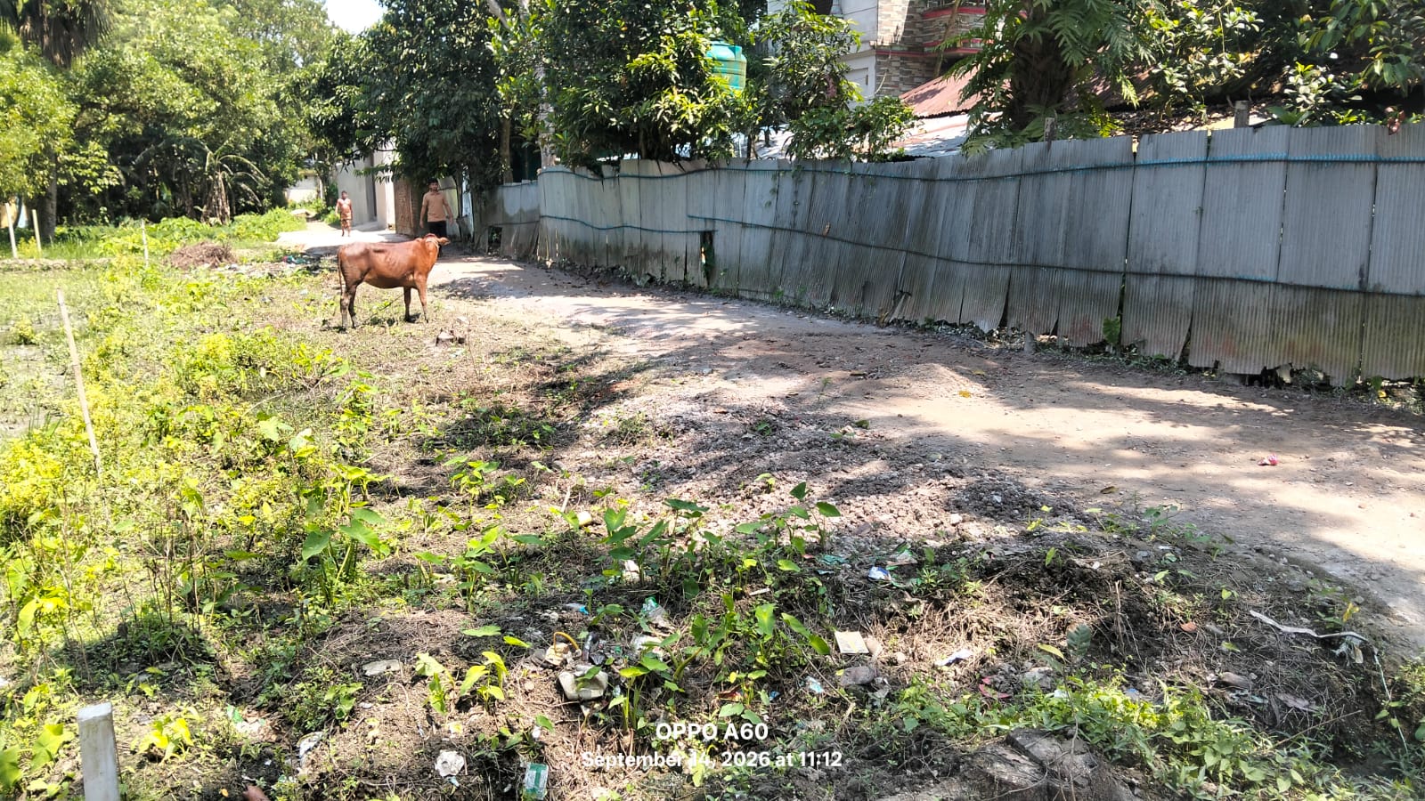 চৌদ্দগ্রামে জমি দখলের চেষ্টার অভিযোগ সৎ ভাইয়ের বিরুদ্ধে