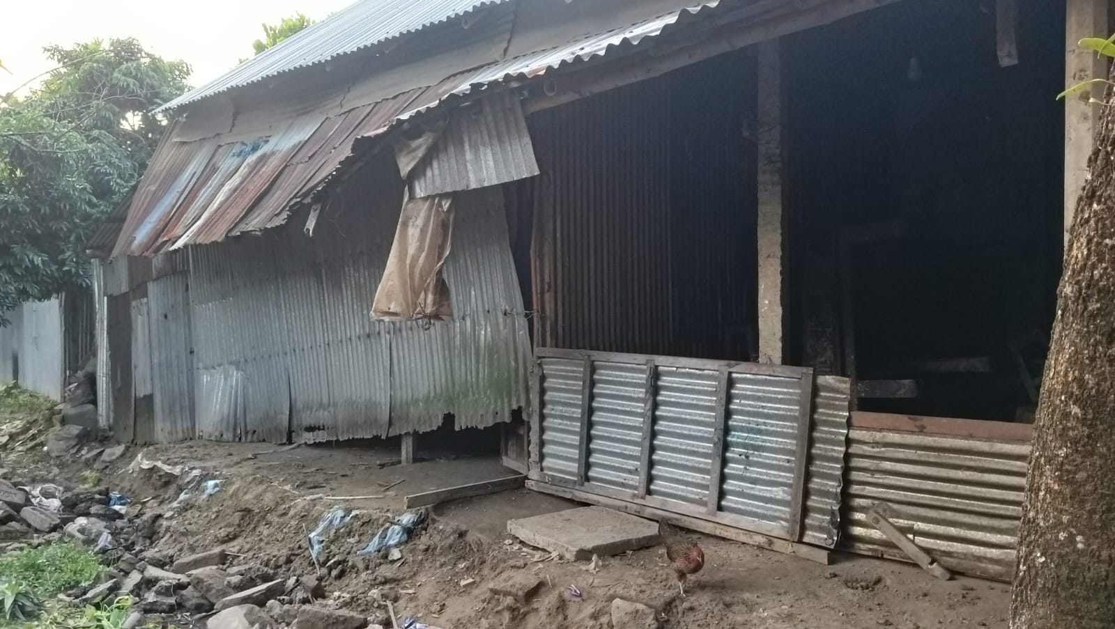 ​নেত্রকোণায় বসতবাড়িতে হামলা ও লুটপাট অভিযোগ