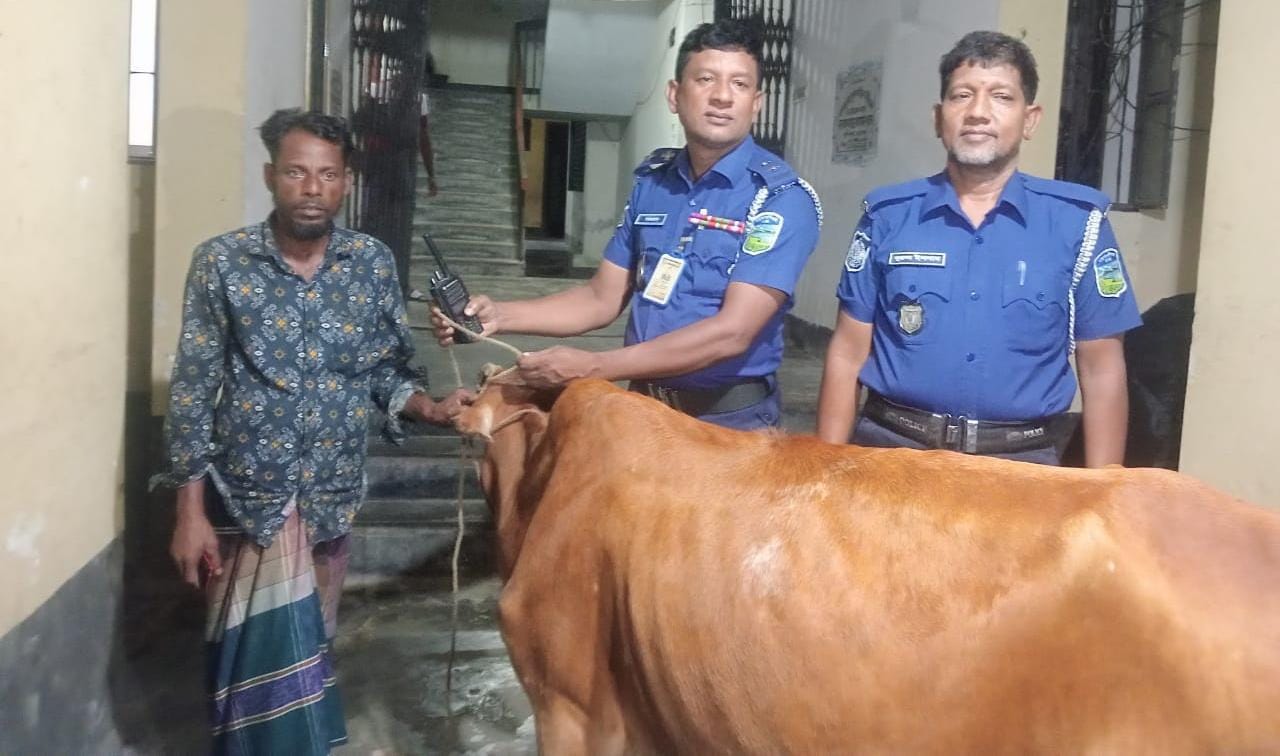 নেত্রকোনার বারহাট্টায় চুরি হওয়া গর্ভবতী গাভী গরু পুলিশের সহায়তা উদ্ধার