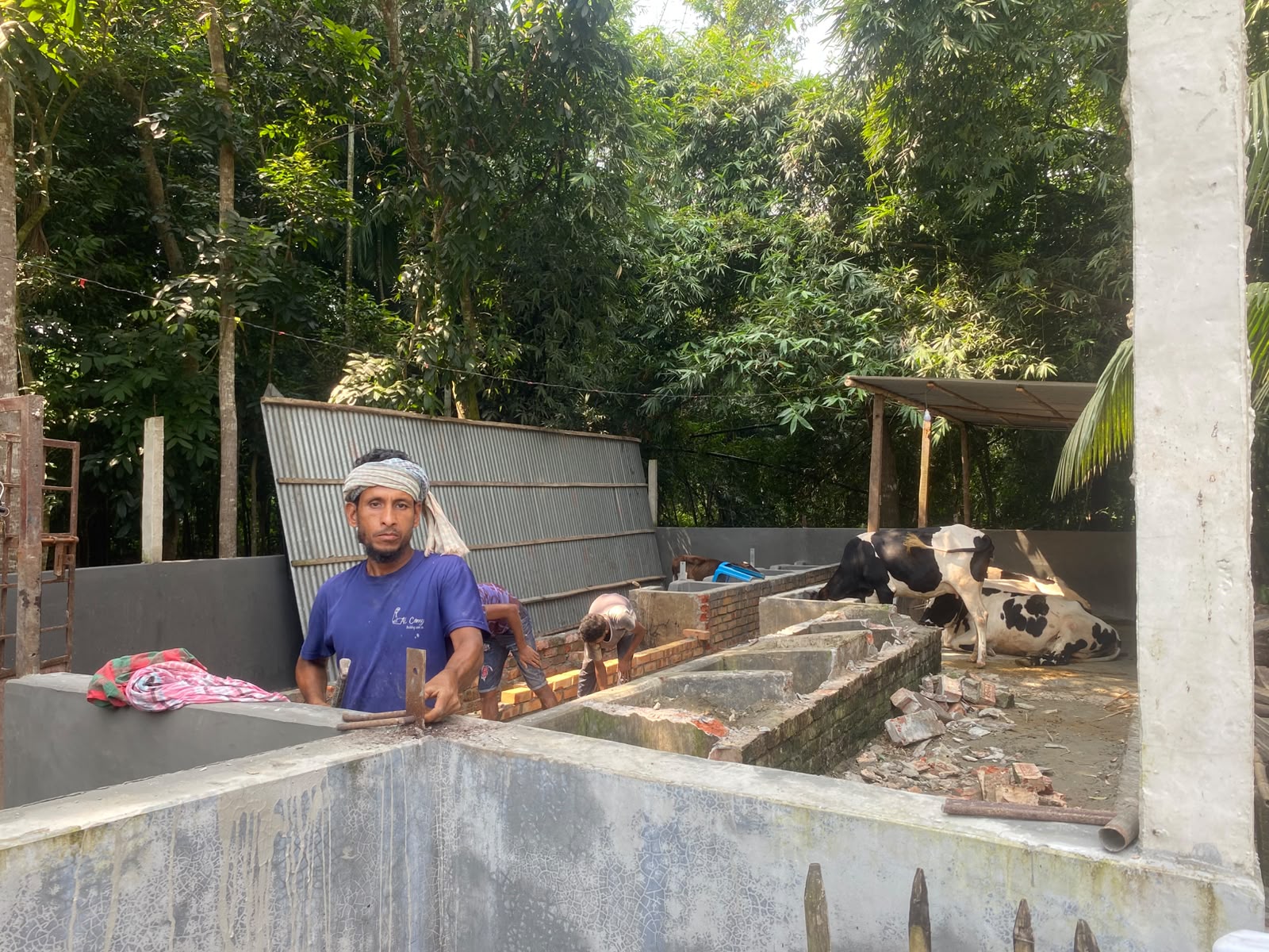 সালথায় জমি দখল করে গোয়ালঘর নির্মাণ: থানায় অভিযোগ
