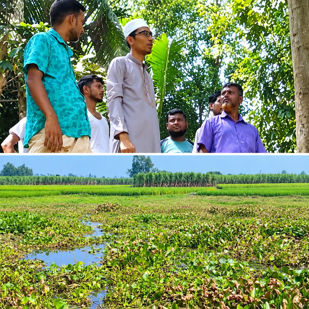 পৌরসভা ৯ নং ওয়ার্ড পরিদর্শন করলেন মেয়র প্রার্থী নাজিম হোসেন (নোমান)